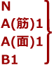 N,A(筋)1,A(面)1,B1