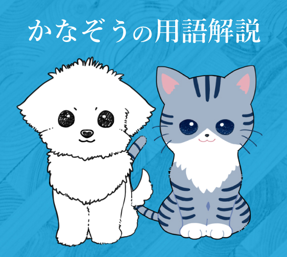 かなぞうの用語解説
